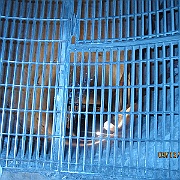 Picture 025
